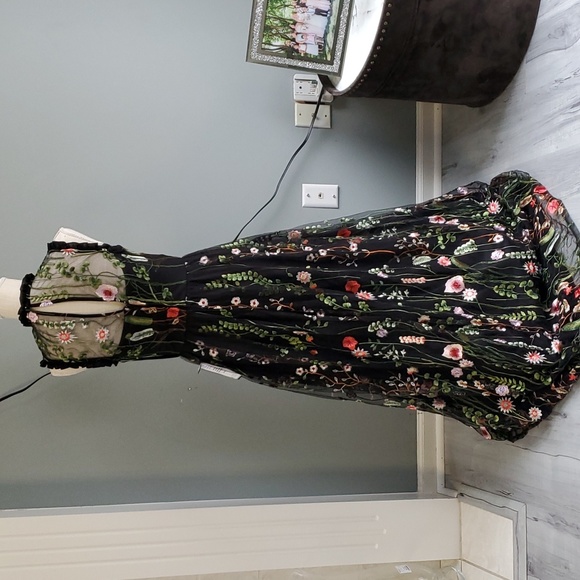 NWT GORGEOUS DRESS!! - Picture 6 of 9